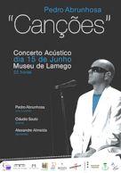 Affiche museu lamego